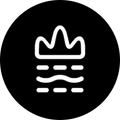 臺灣吧｜大抓周學院