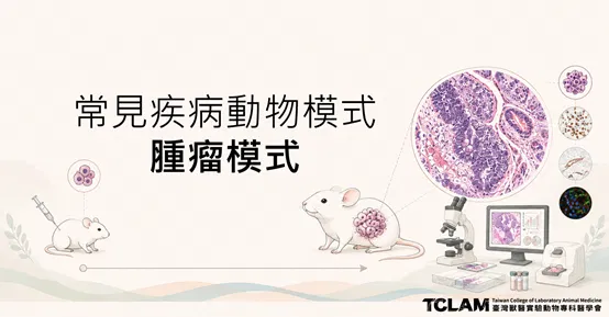 常見疾病動物模式-腫瘤疾病模式