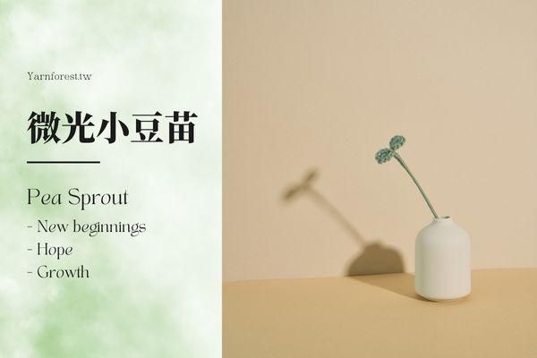 ❰ 單堂 ❱ 七種花的浪漫練習|微光小豆苗