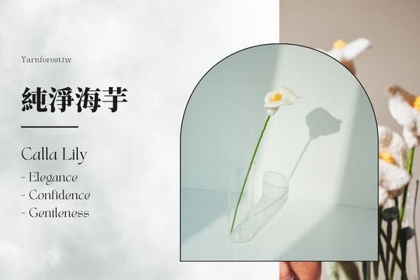 ❰ 單堂 ❱ 七種花的浪漫練習｜純淨海芋