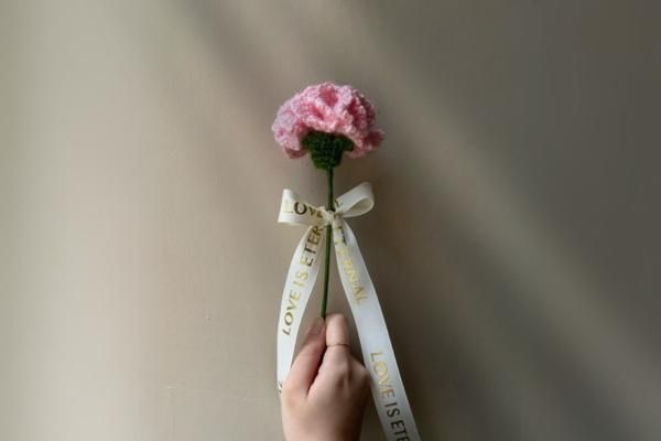 isk-015 Dear Mommy 鉤織花朵康乃馨|超值影音材料包