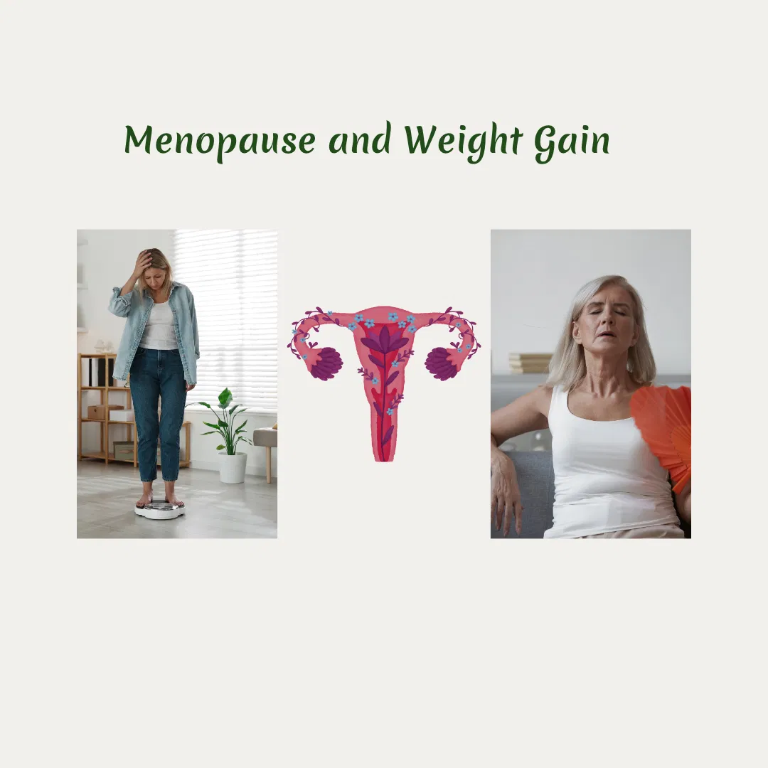 Menopause and weight gain