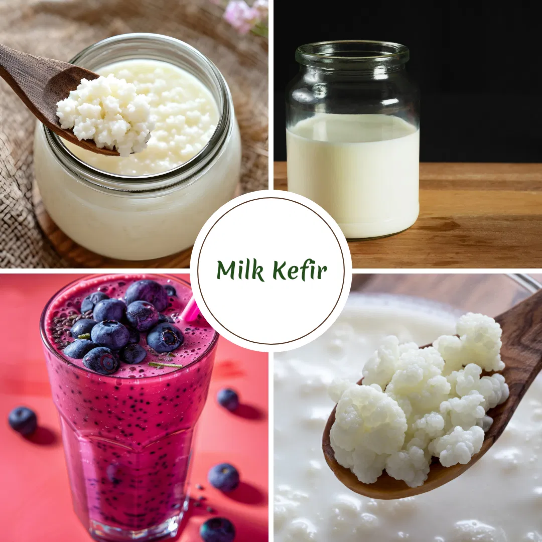 Microbiome Food Spotlight #2 - Kefir