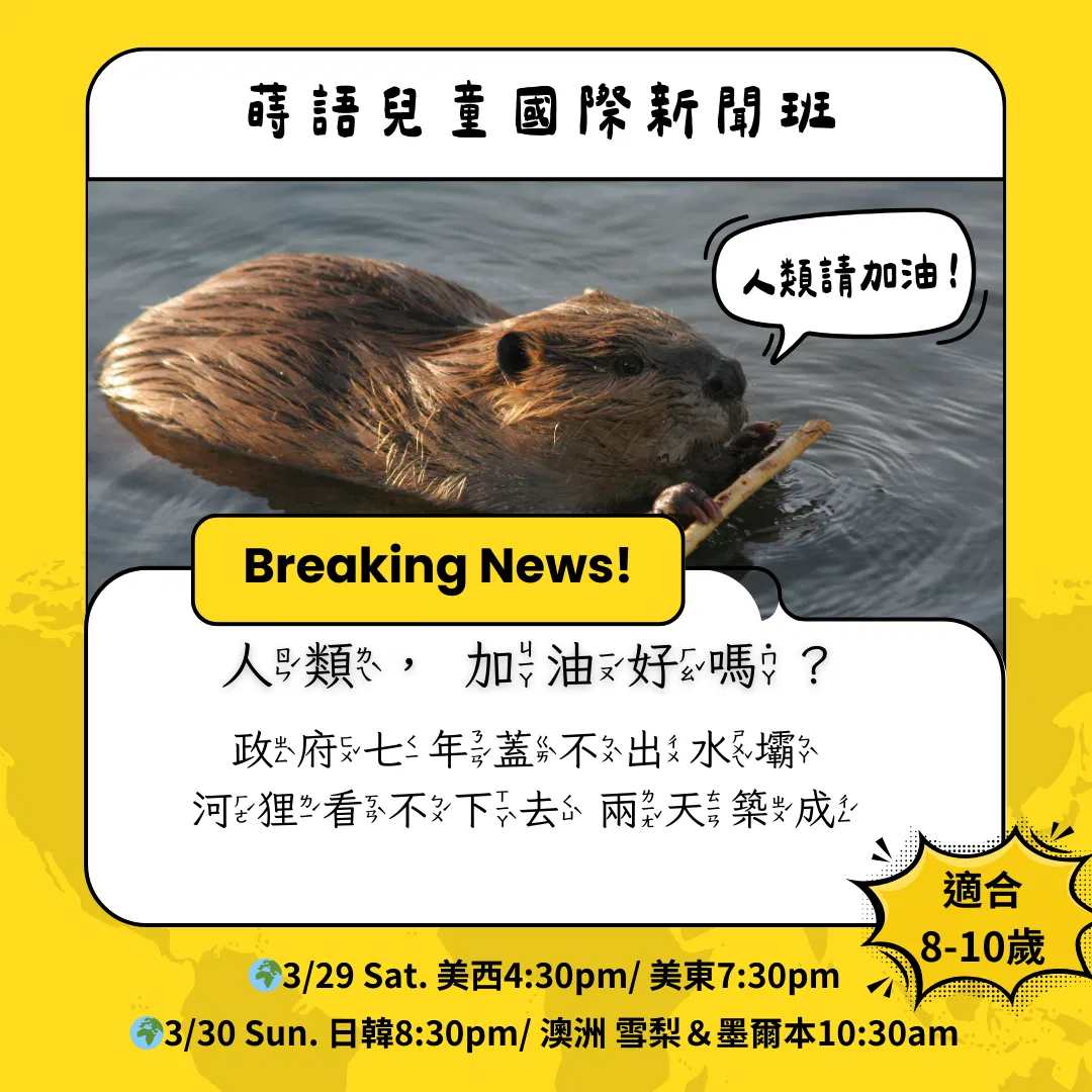 兒童國際新聞班學習單《河狸兩天完成延宕7年的水壩工程！》