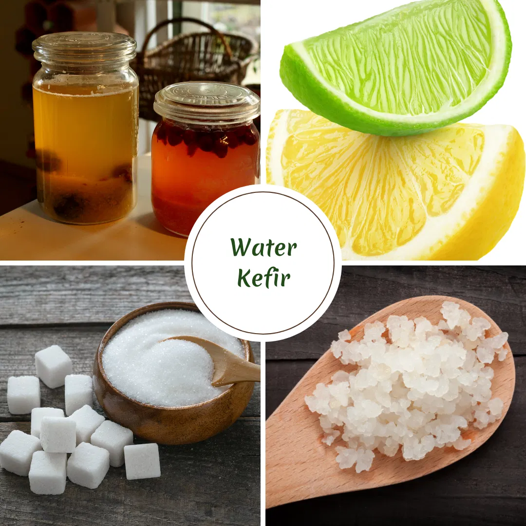 Microbiome Food Spotlight #6 - Water Kefir