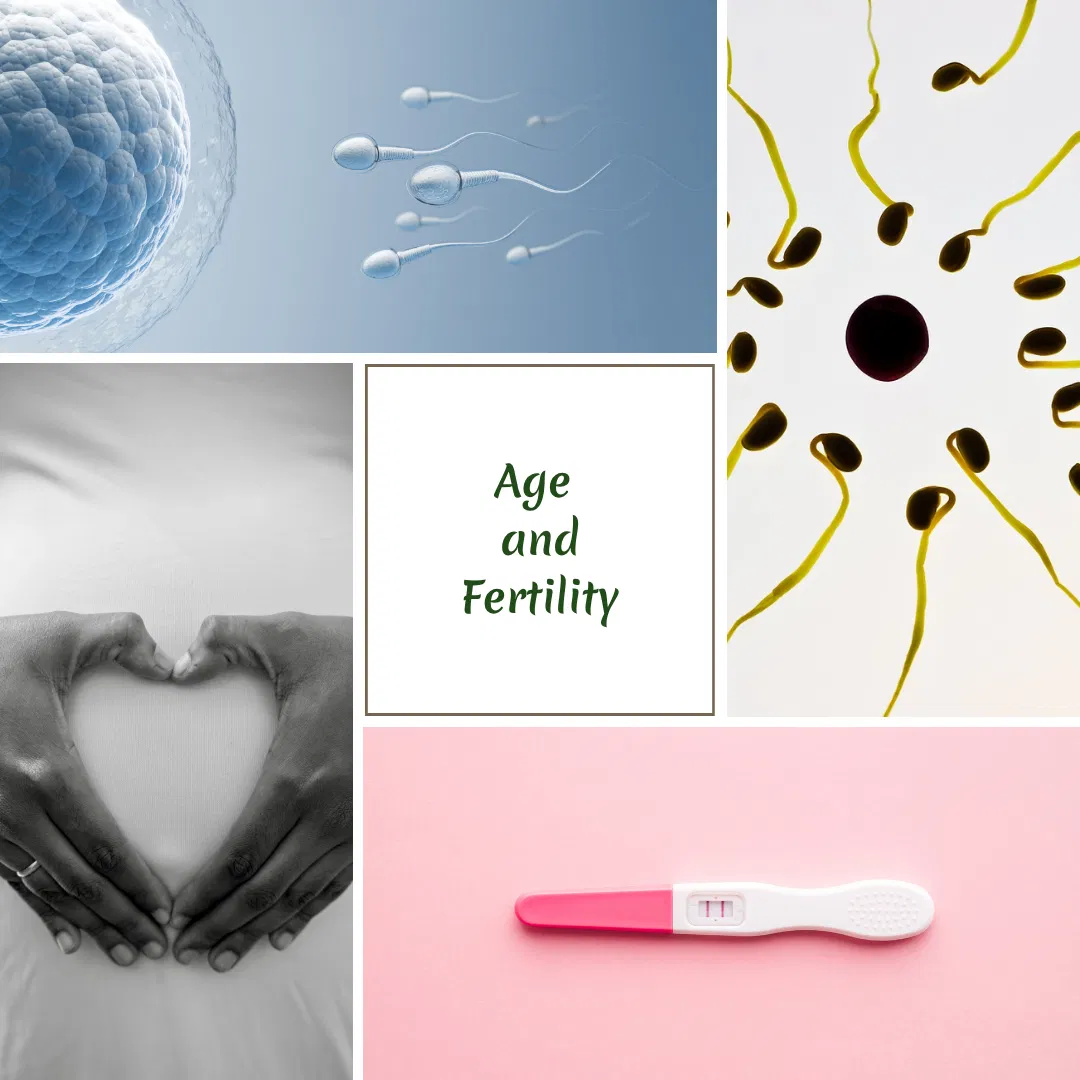 Age and Fertility