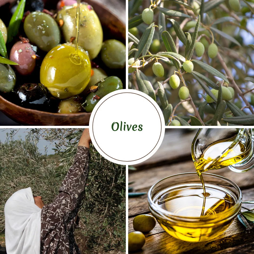 Microbiome Food Spotlight #9 - Fermented Olives
