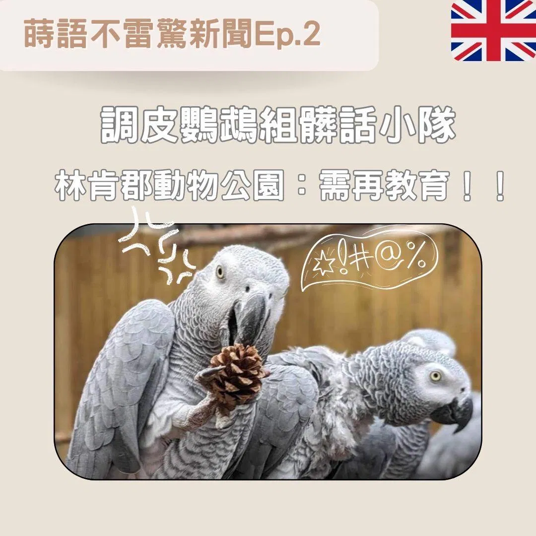 【EP2】調皮鸚鵡組髒話小隊 林肯郡動物公園:需再教育!!