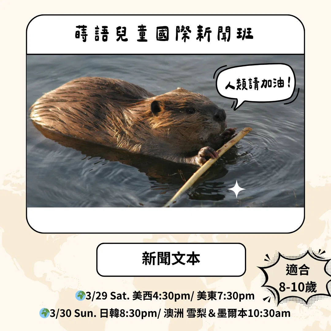 兒童國際新聞文本《河狸兩天完成延宕7年的水壩工程！》