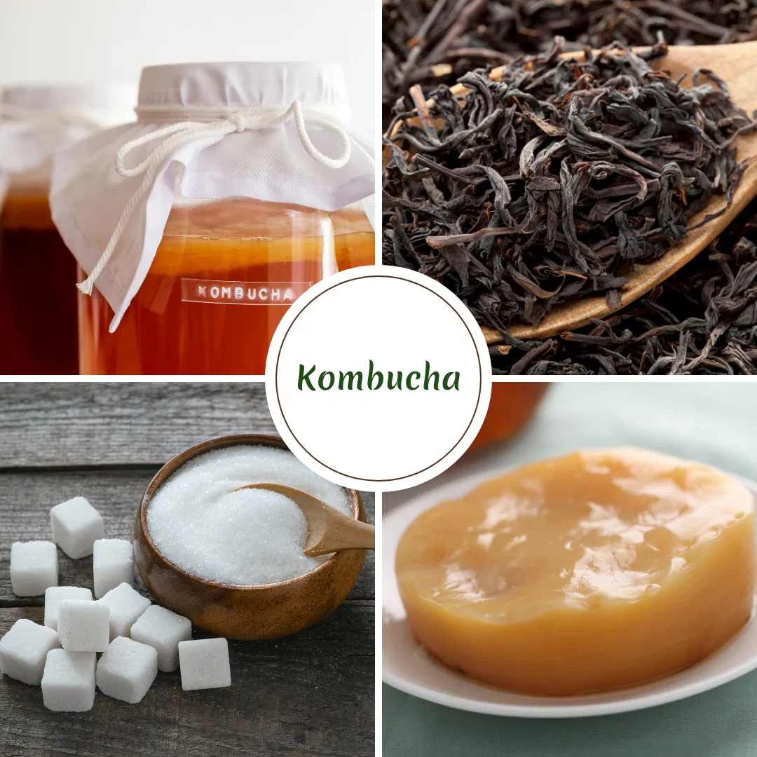 Microbiome Food Spotlight #5 - Kombucha