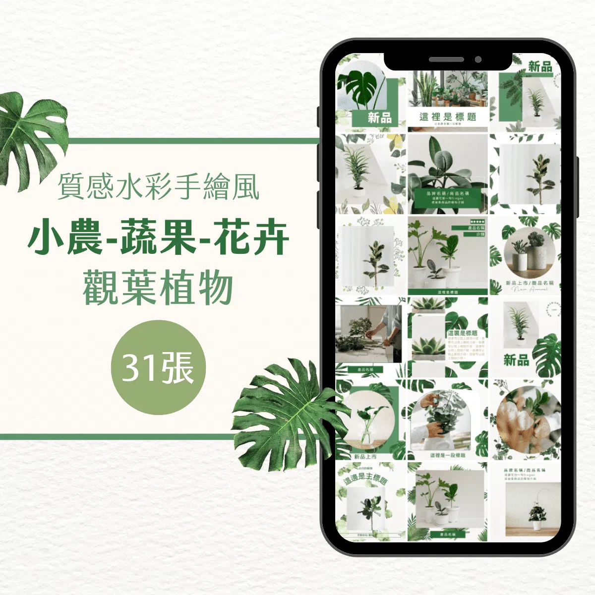 小農模版-觀葉植物-31張-小農-蔬果-花卉-Canva編輯