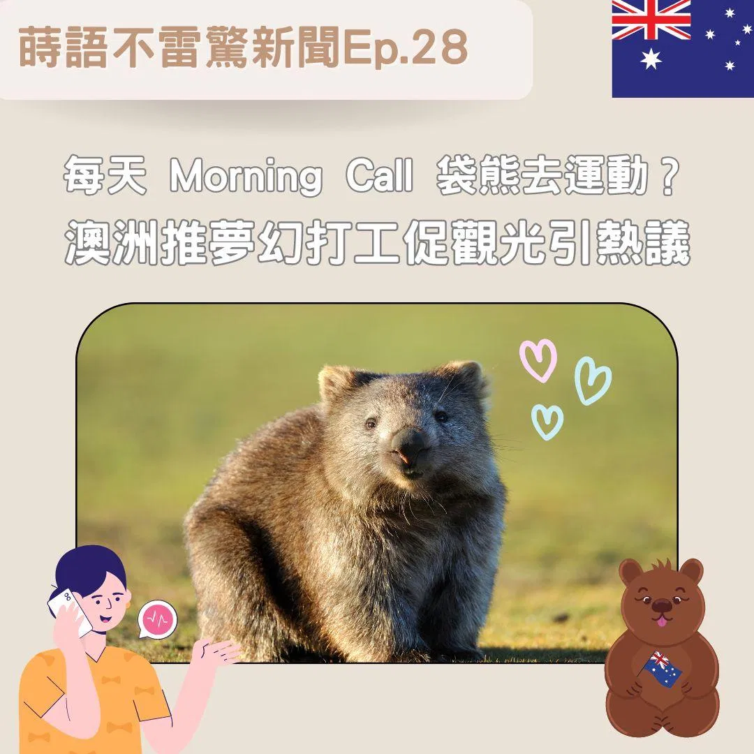 【Ep28】每天Morning Call袋熊去運動？ 澳洲推夢幻打工促觀光引熱議