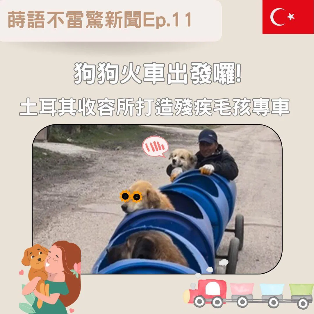 【Ep11】狗狗火車出發囉󠇢! 土耳其收容所打造殘疾毛孩專車