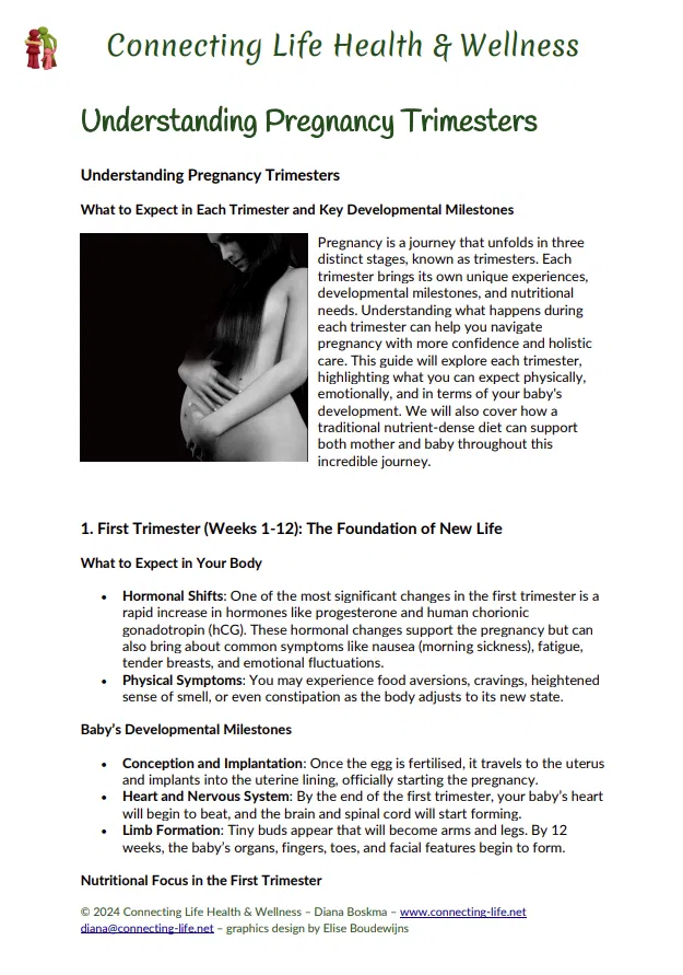 Understanding Pregnancy Trimesters