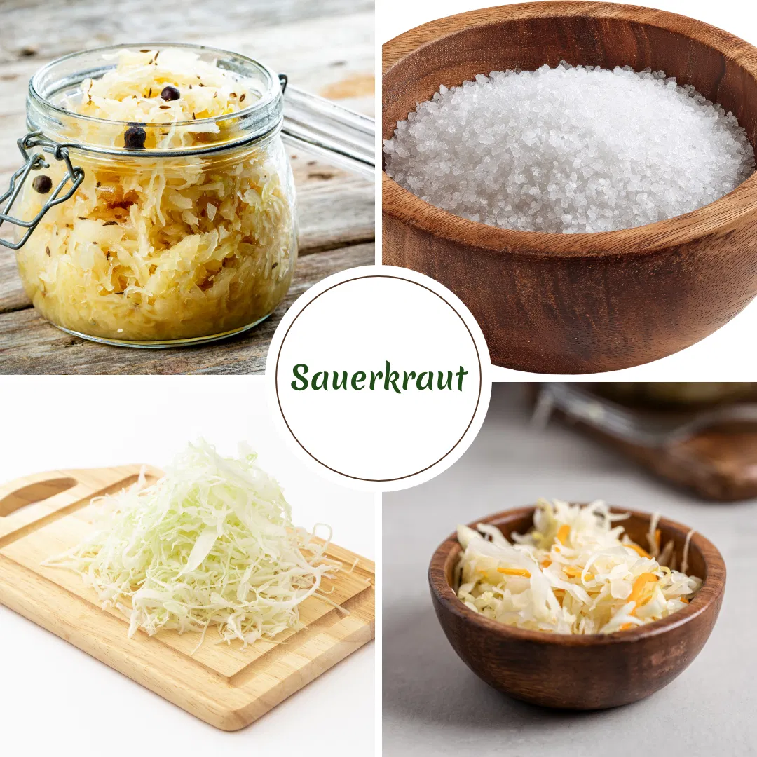 Microbiome Spotlight #1 - Sauerkraut