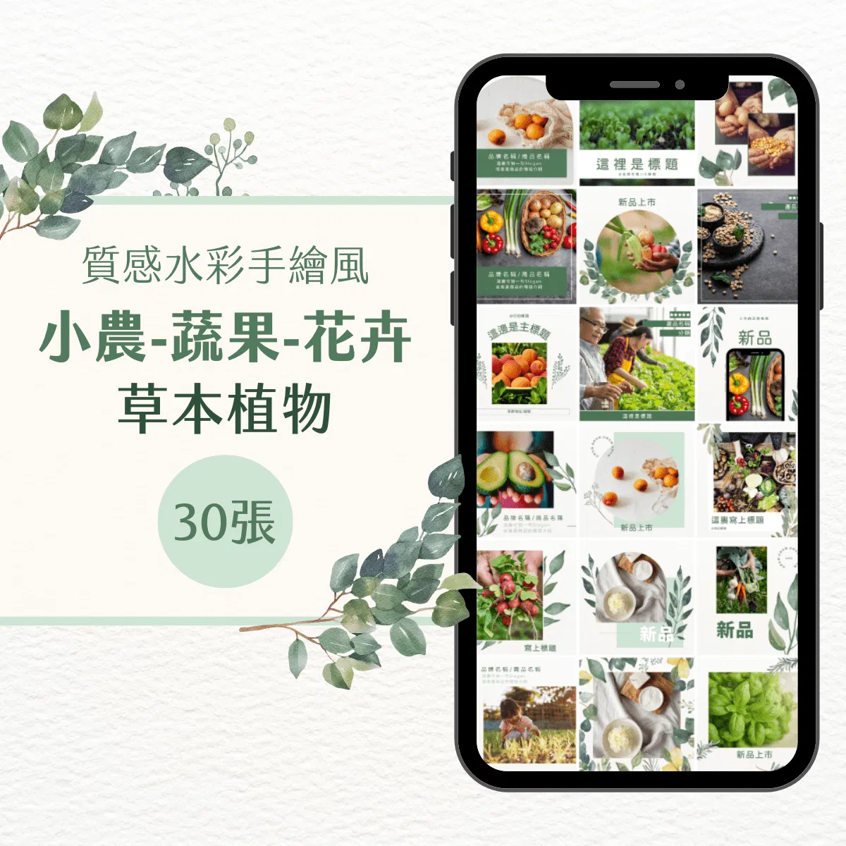 小農模版-草本植物-30張-小農-蔬果-花卉-Canva編輯