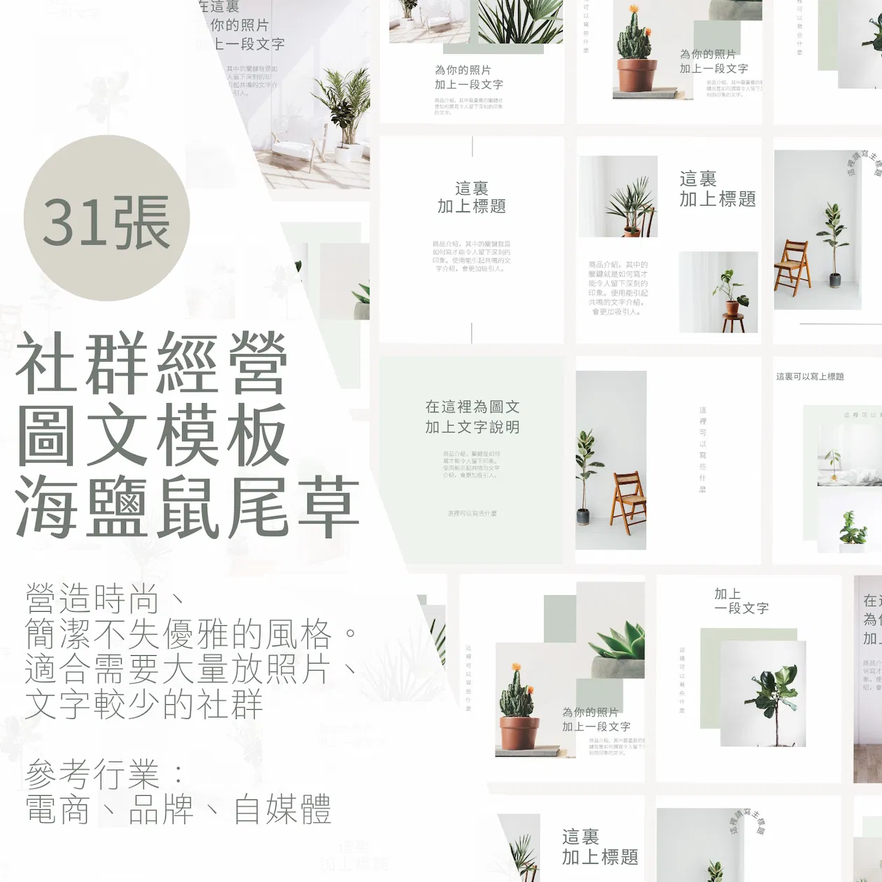 海鹽鼠尾草-FB、IG圖文模版-31張-Canva編輯-社群經營