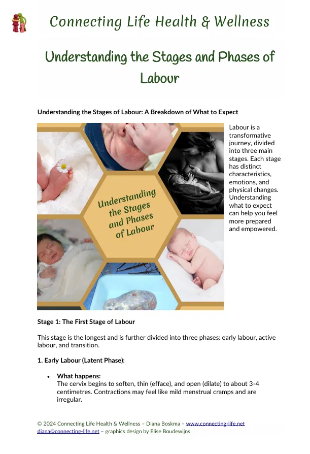 Stages and Phases of Birth