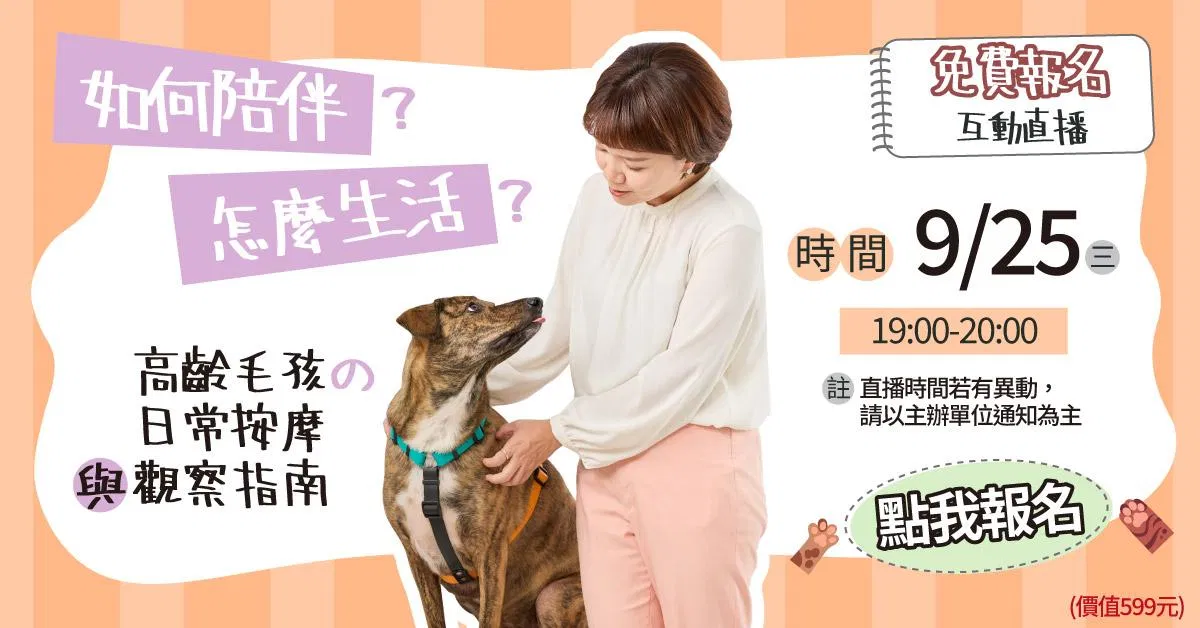 如何陪伴?怎麼生活?高齡毛孩的日常按摩與觀察指南