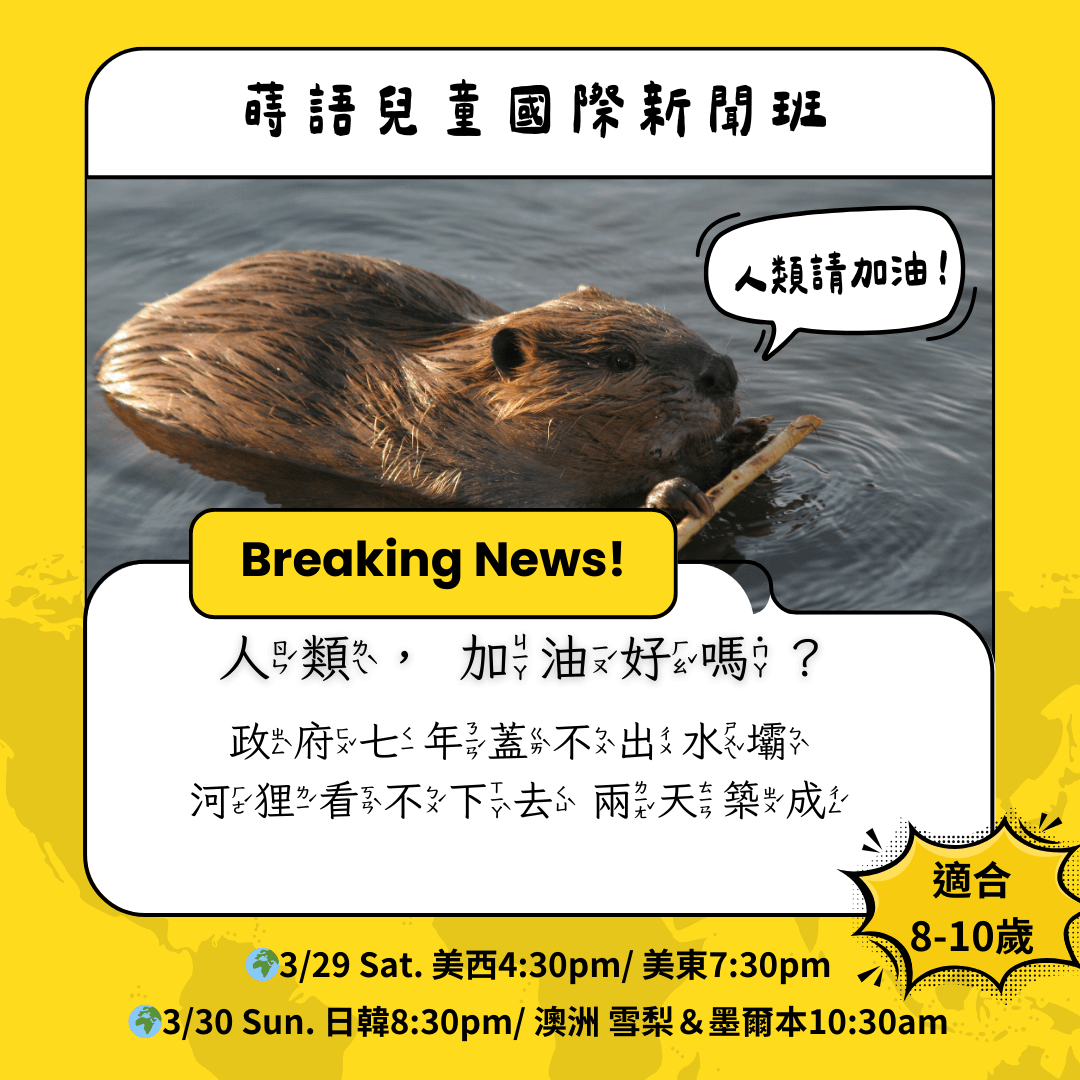 兒童國際新聞班學習單《河狸兩天完成延宕7年的水壩工程!》