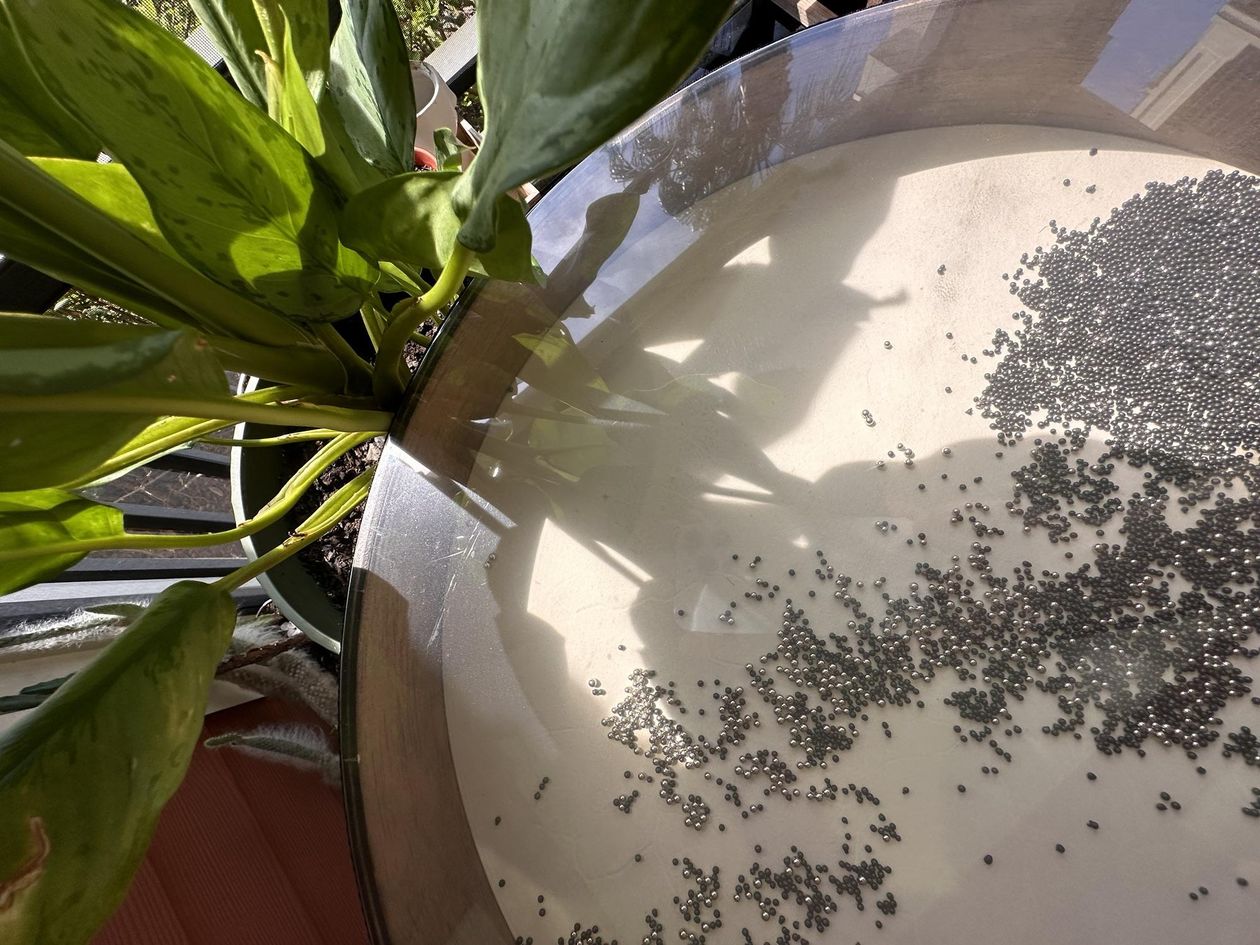 Wave Drum Sound Healing - Transition Workbook