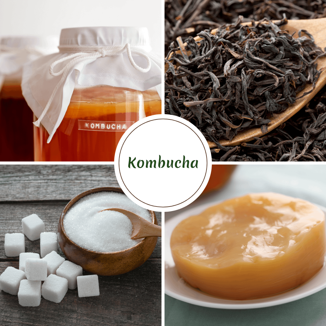 Microbiome Food Spotlight #5 - Kombucha