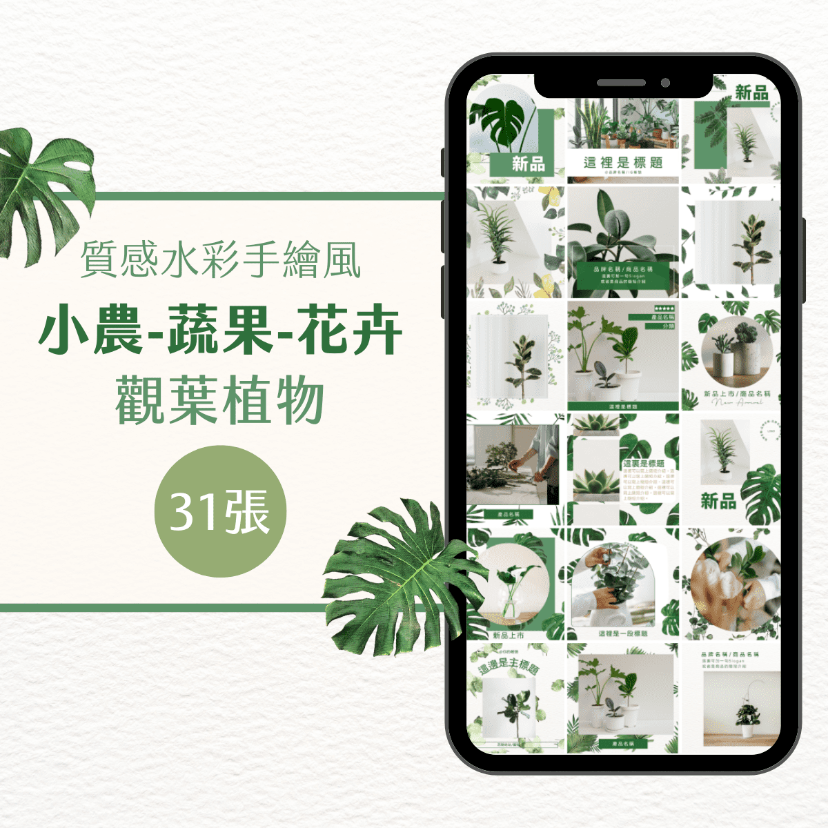 小農模版-觀葉植物-31張-小農-蔬果-花卉-Canva編輯