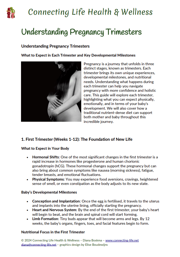 Understanding Pregnancy Trimesters