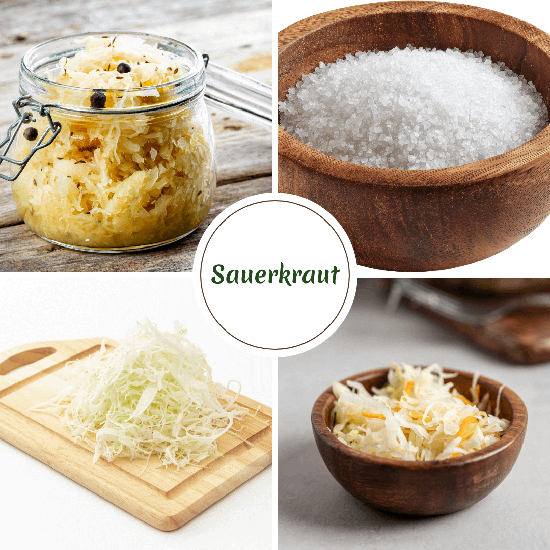 Microbiome Spotlight #1 - Sauerkraut