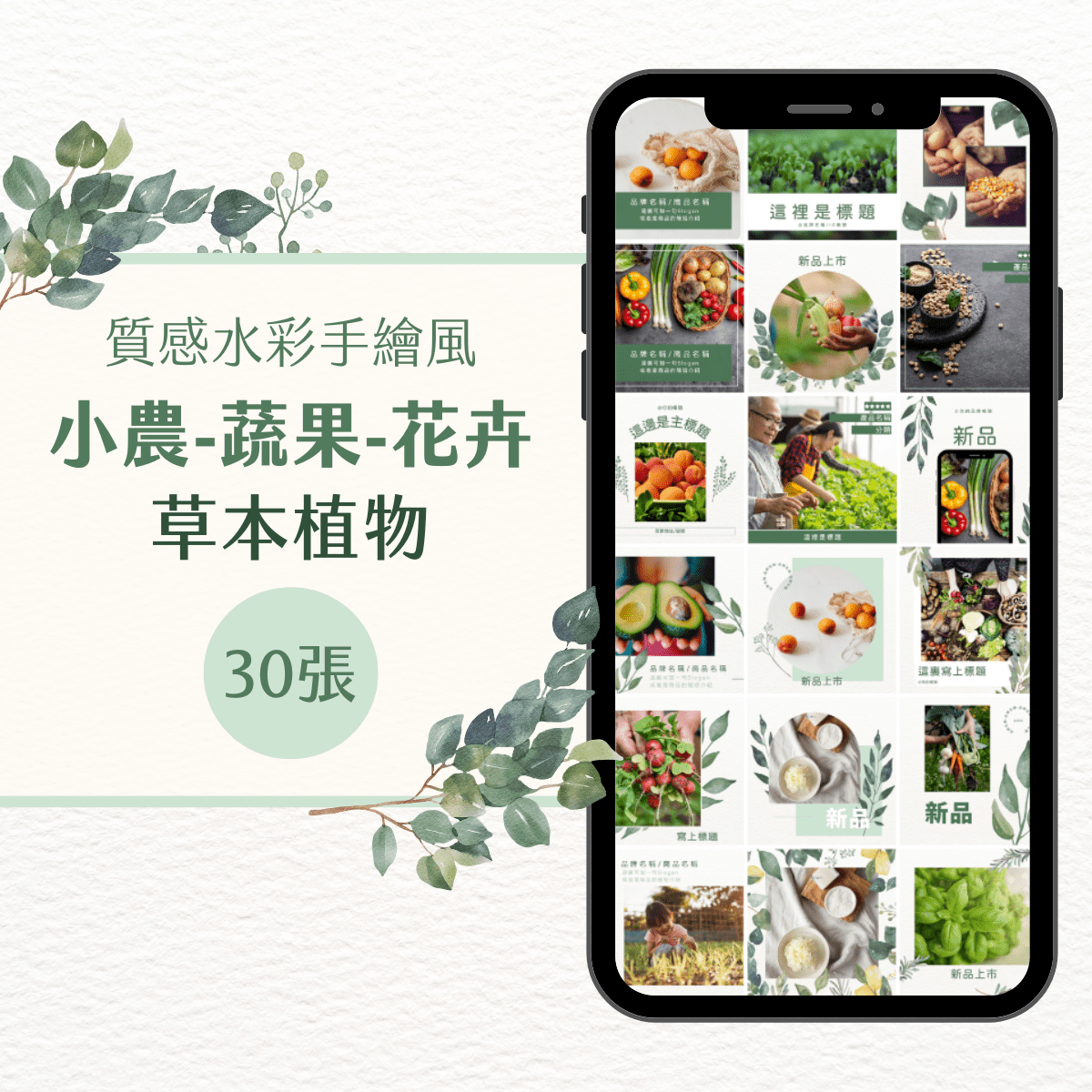 小農模版-草本植物-30張-小農-蔬果-花卉-Canva編輯