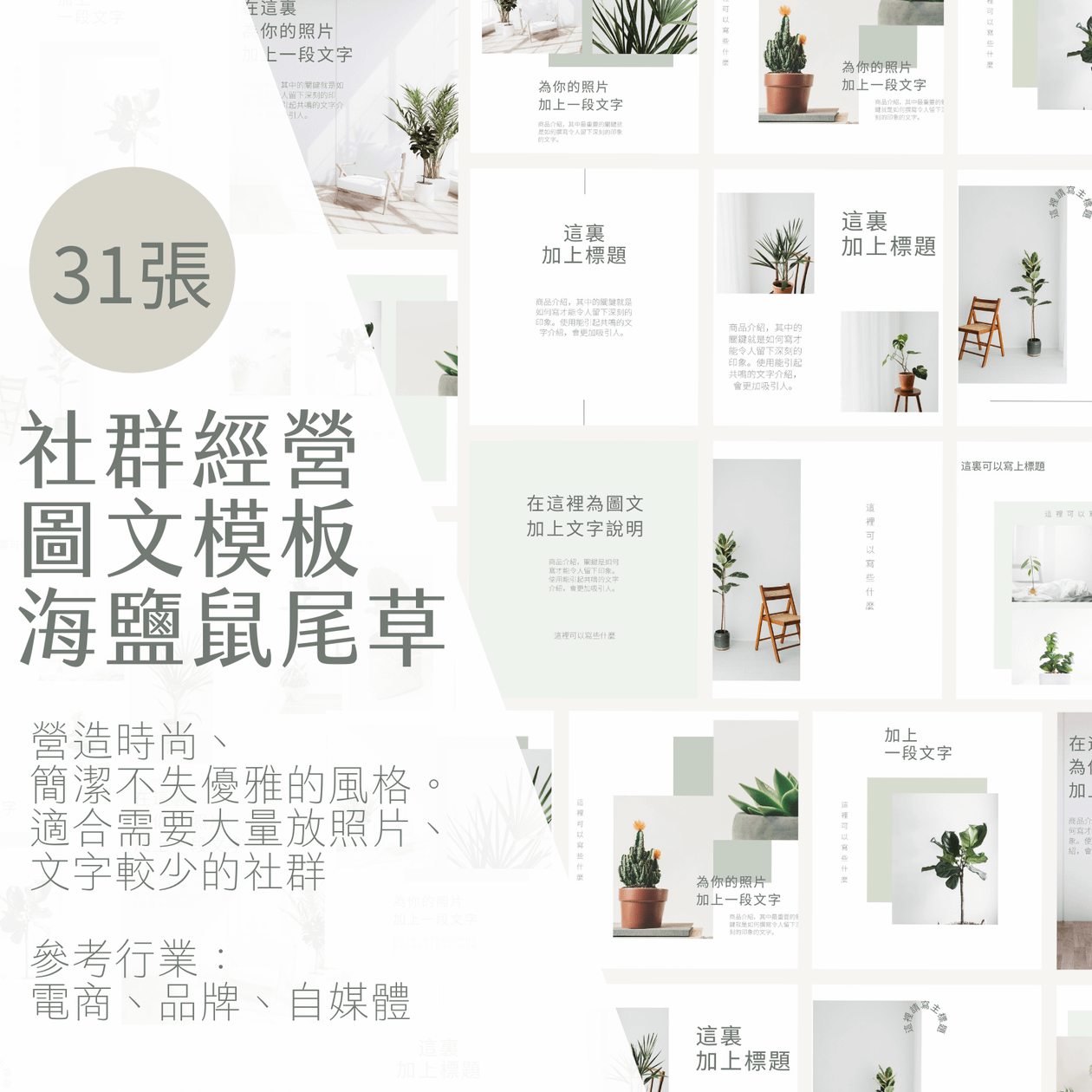 海鹽鼠尾草-FB、IG圖文模版-31張-Canva編輯-社群經營