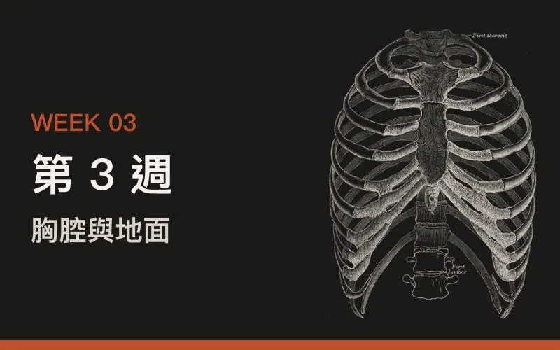 第 3 週