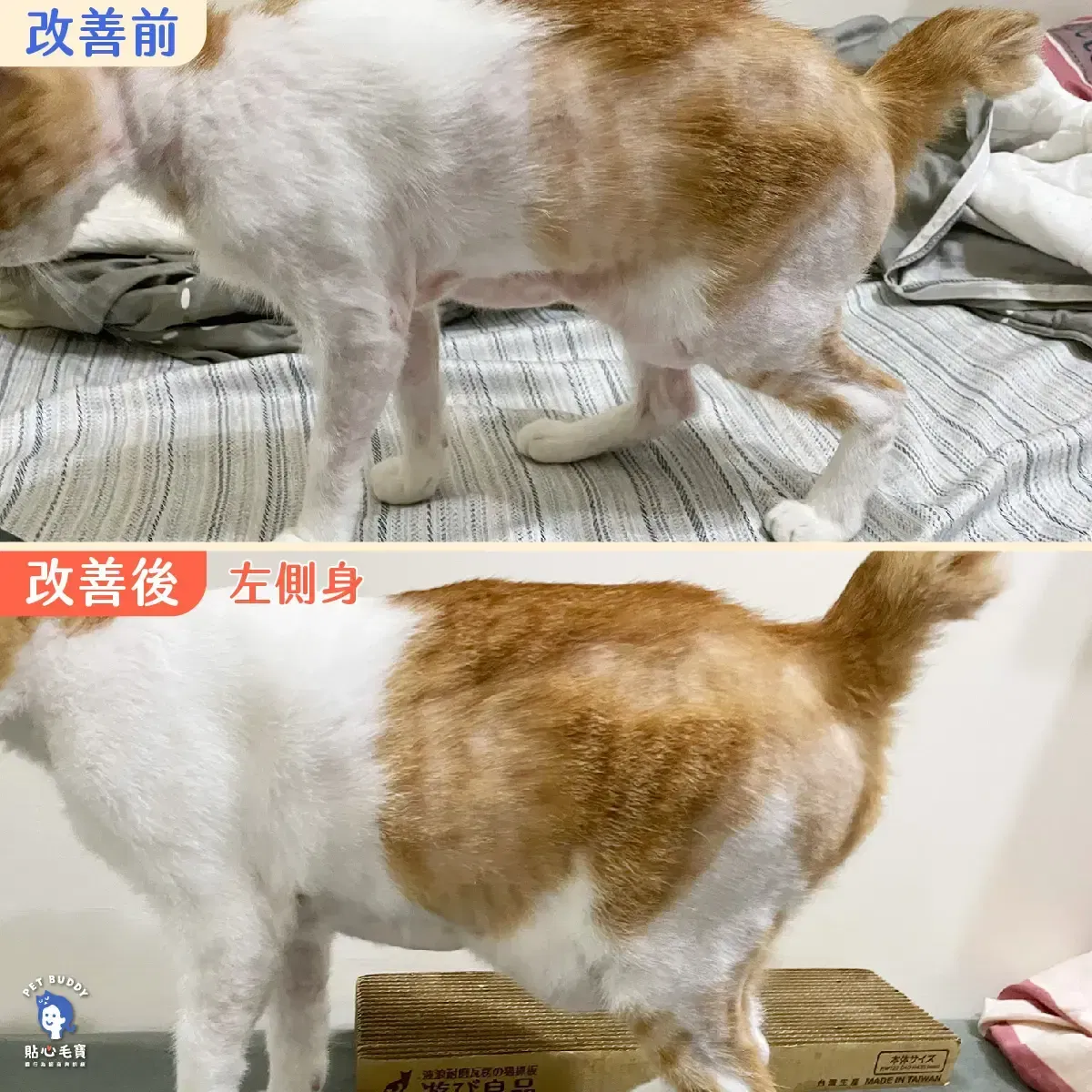 673d7f954a.webp