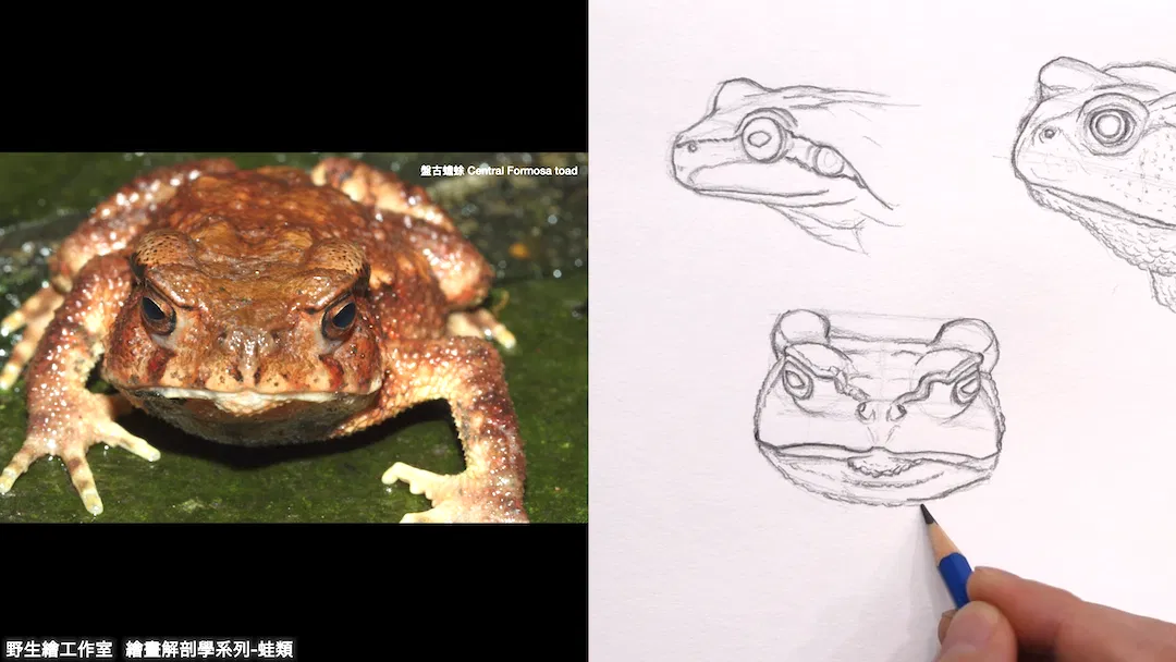 截圖 2026-04-21 晚上8.41.16.png