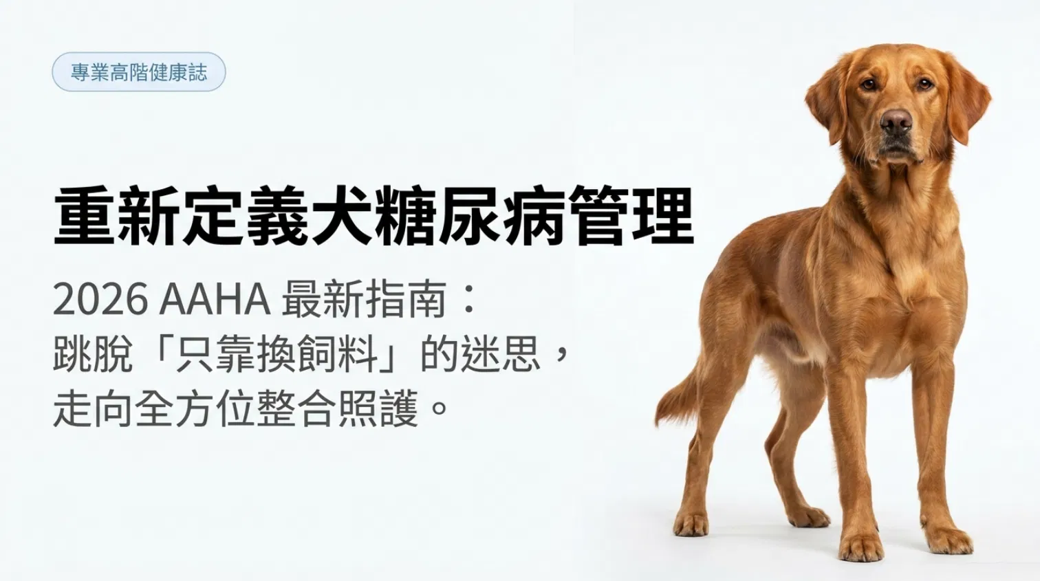 aaha20261.png