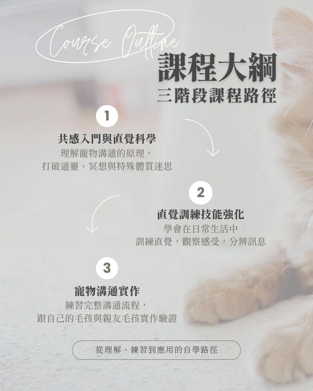 課程大綱.jpg
