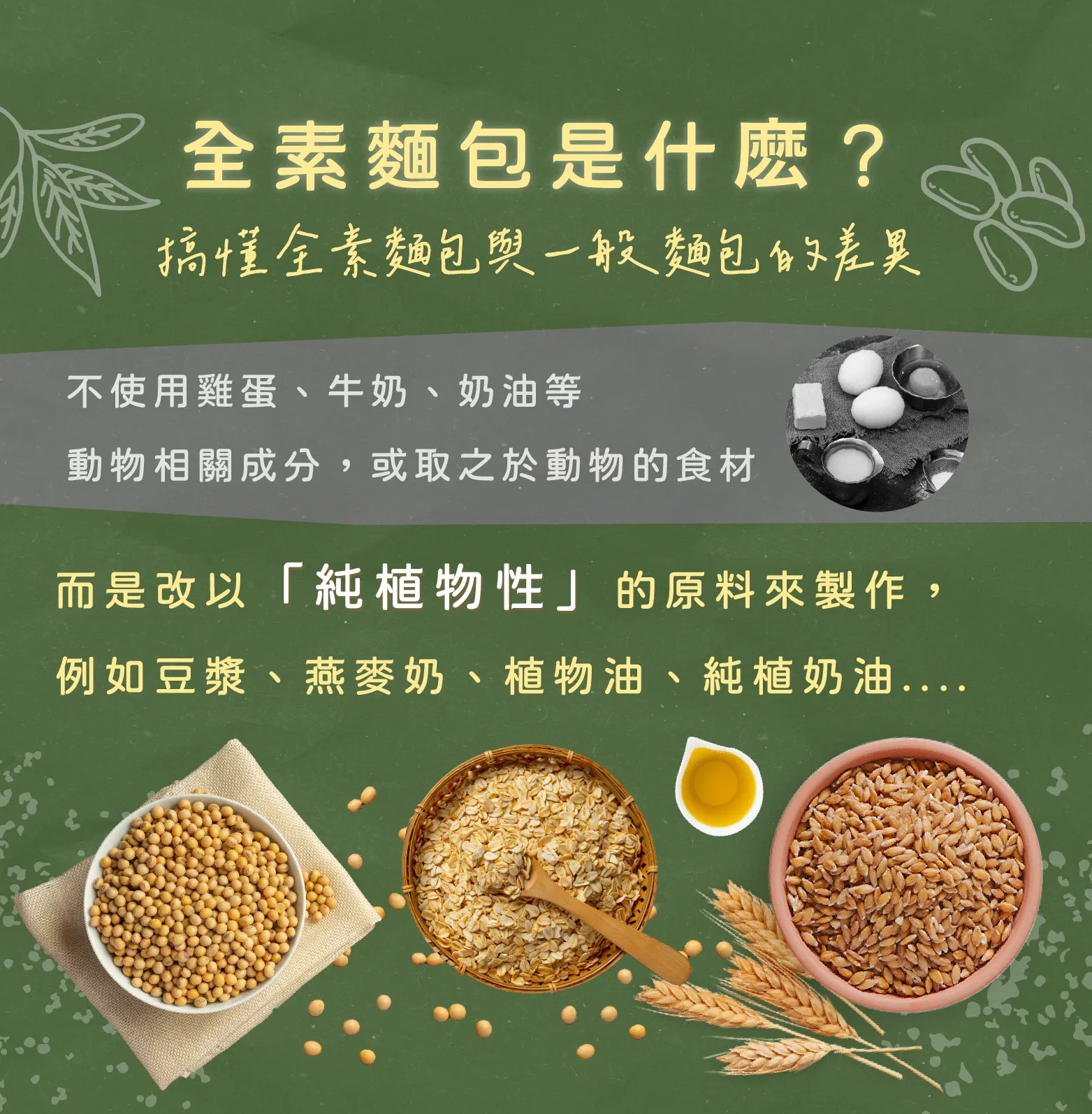 認識全素麵包
