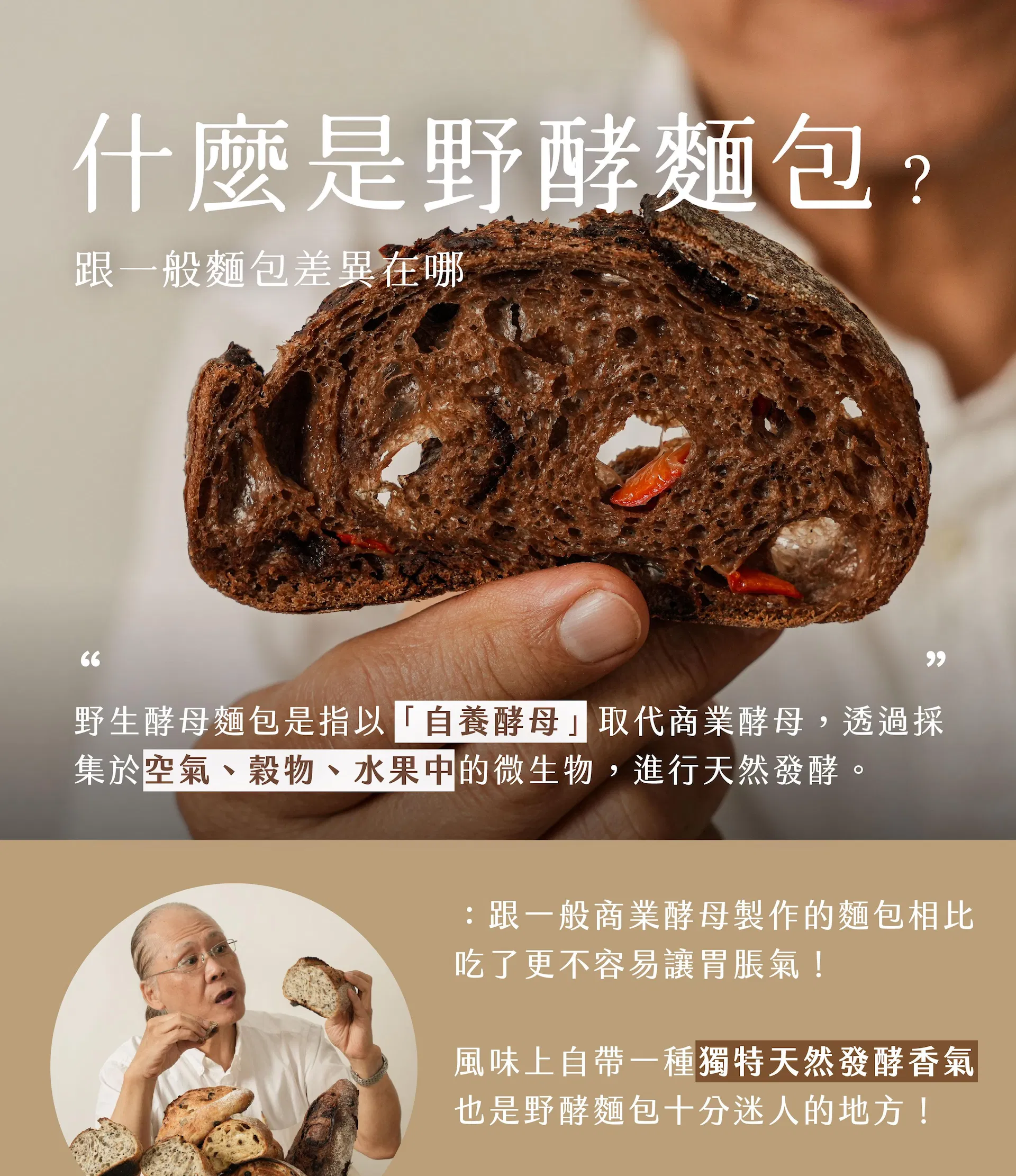 認識野酵麵包