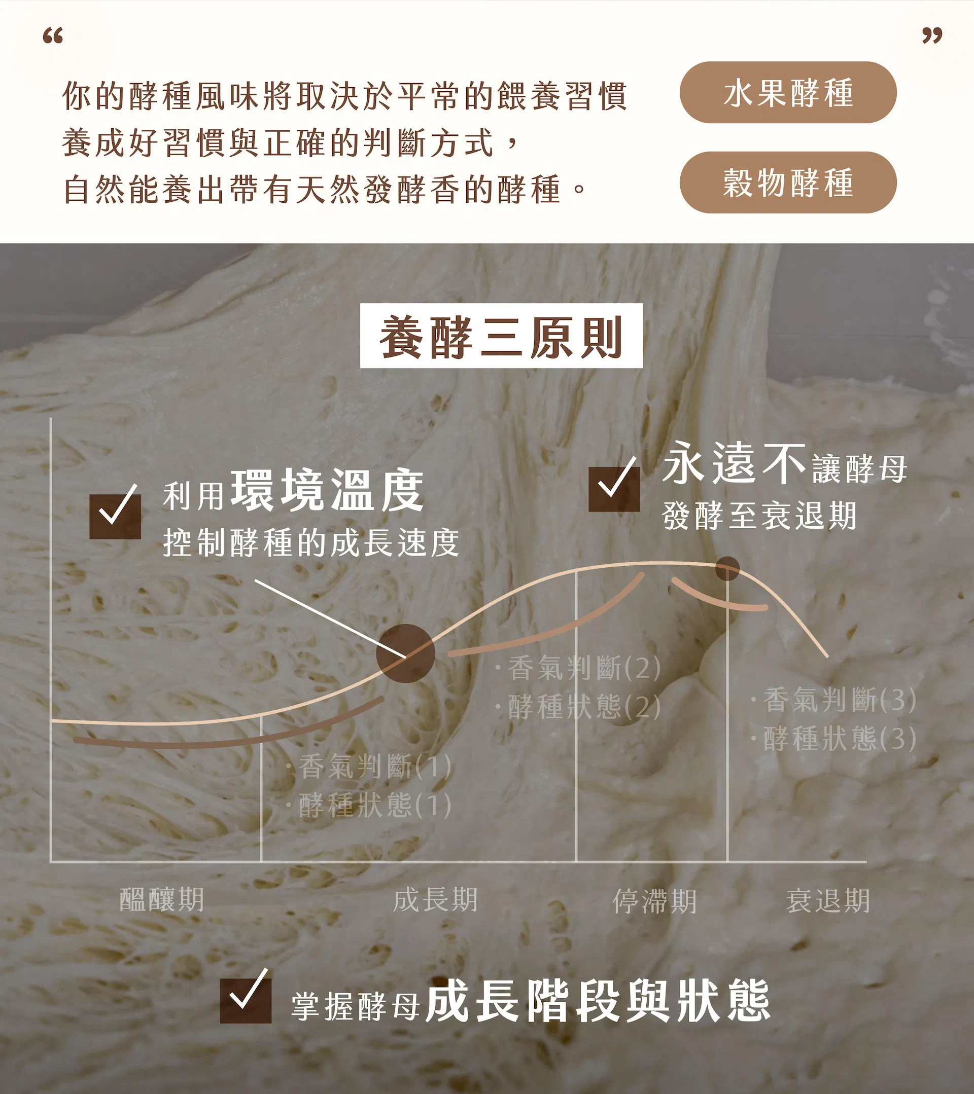 養酵母三原則