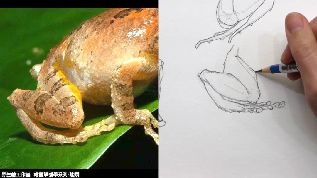 截圖 2026-04-21 晚上8.47.24.png