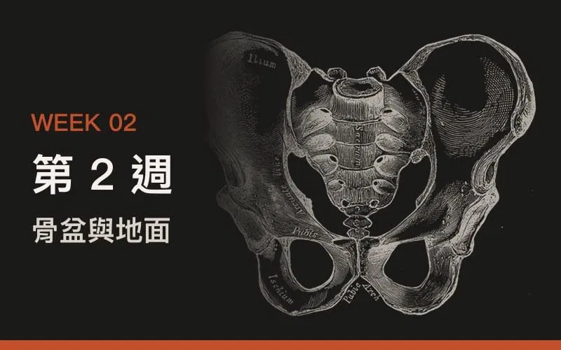 第 2 週