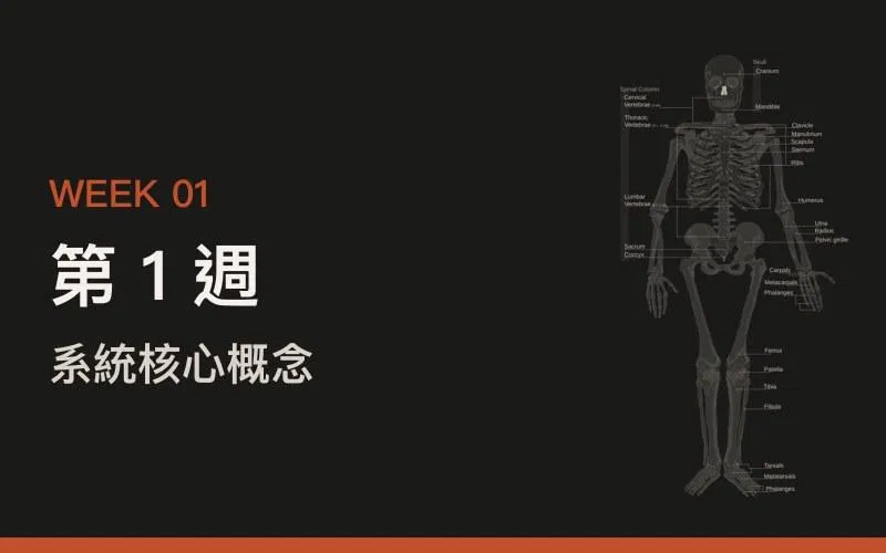 第 1 週