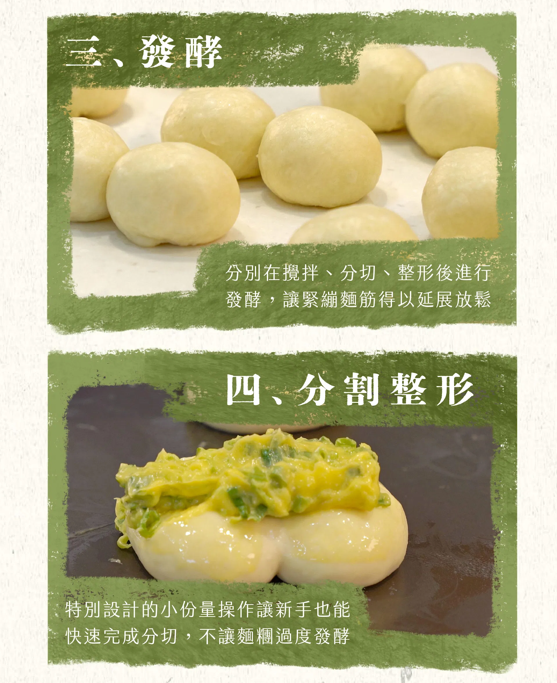 發酵分割整形