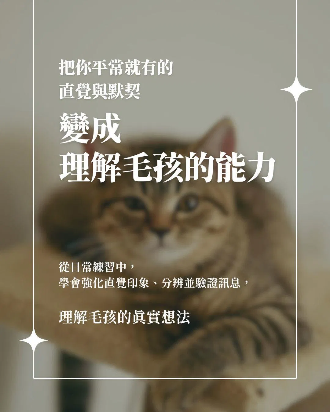 把直覺變成能力.jpg