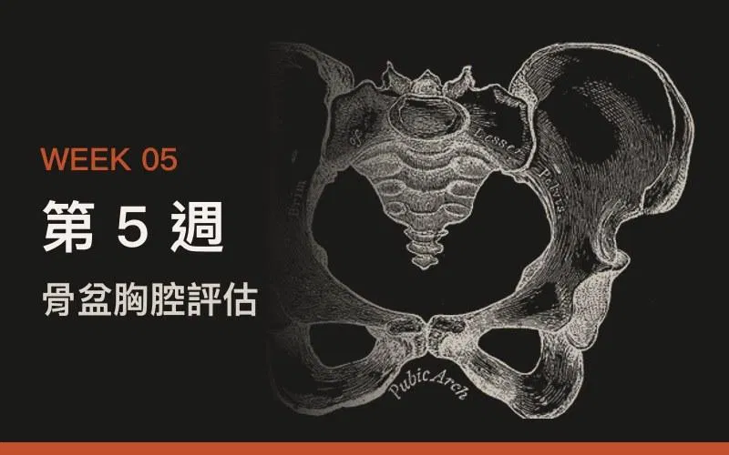 第 5 週