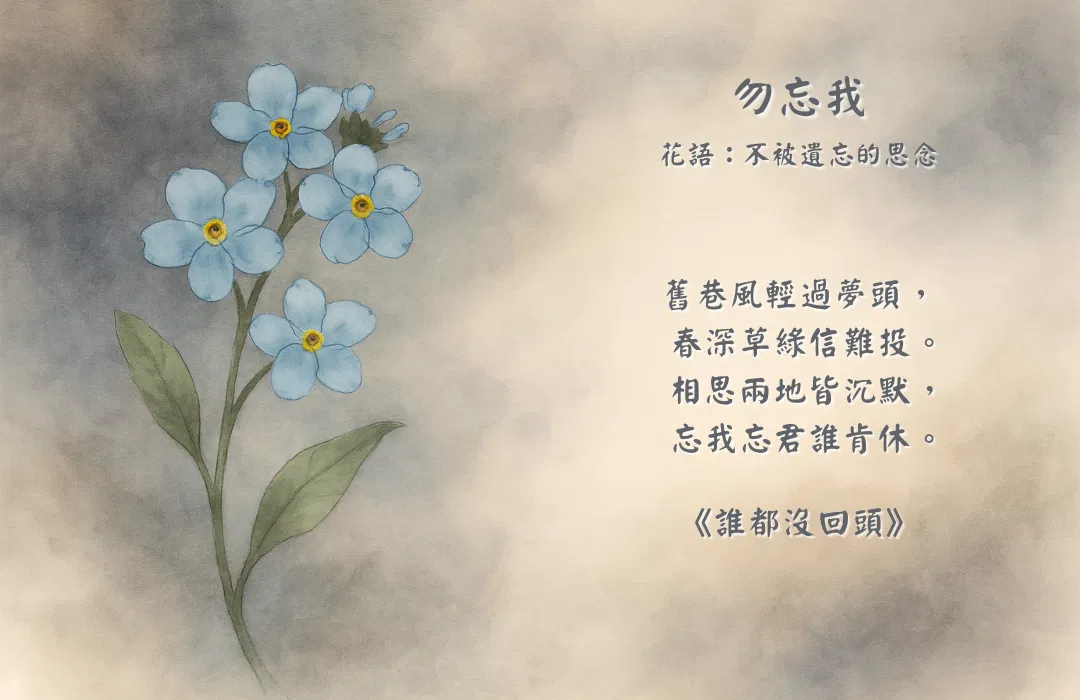 勿忘我