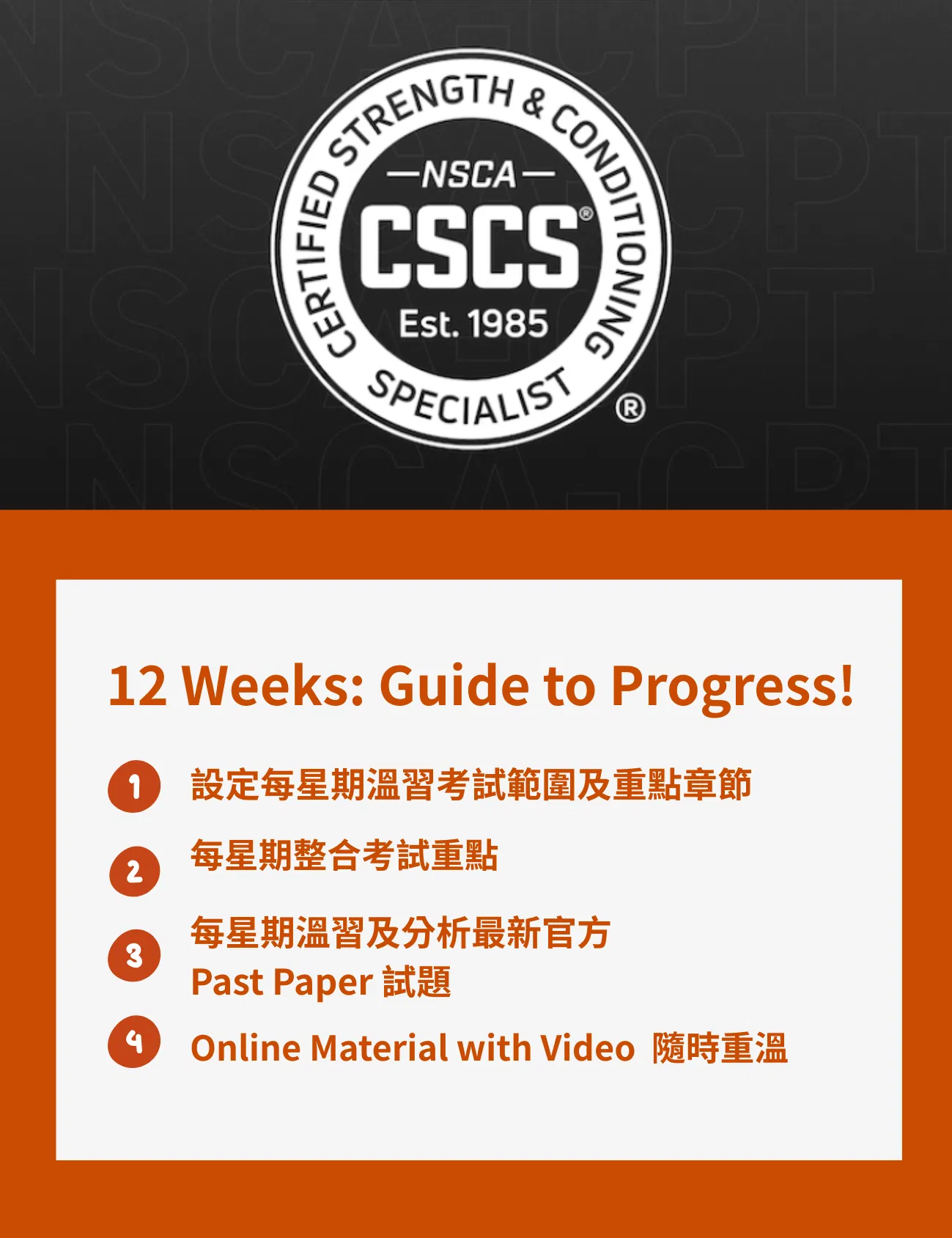 12 weeks 02.png