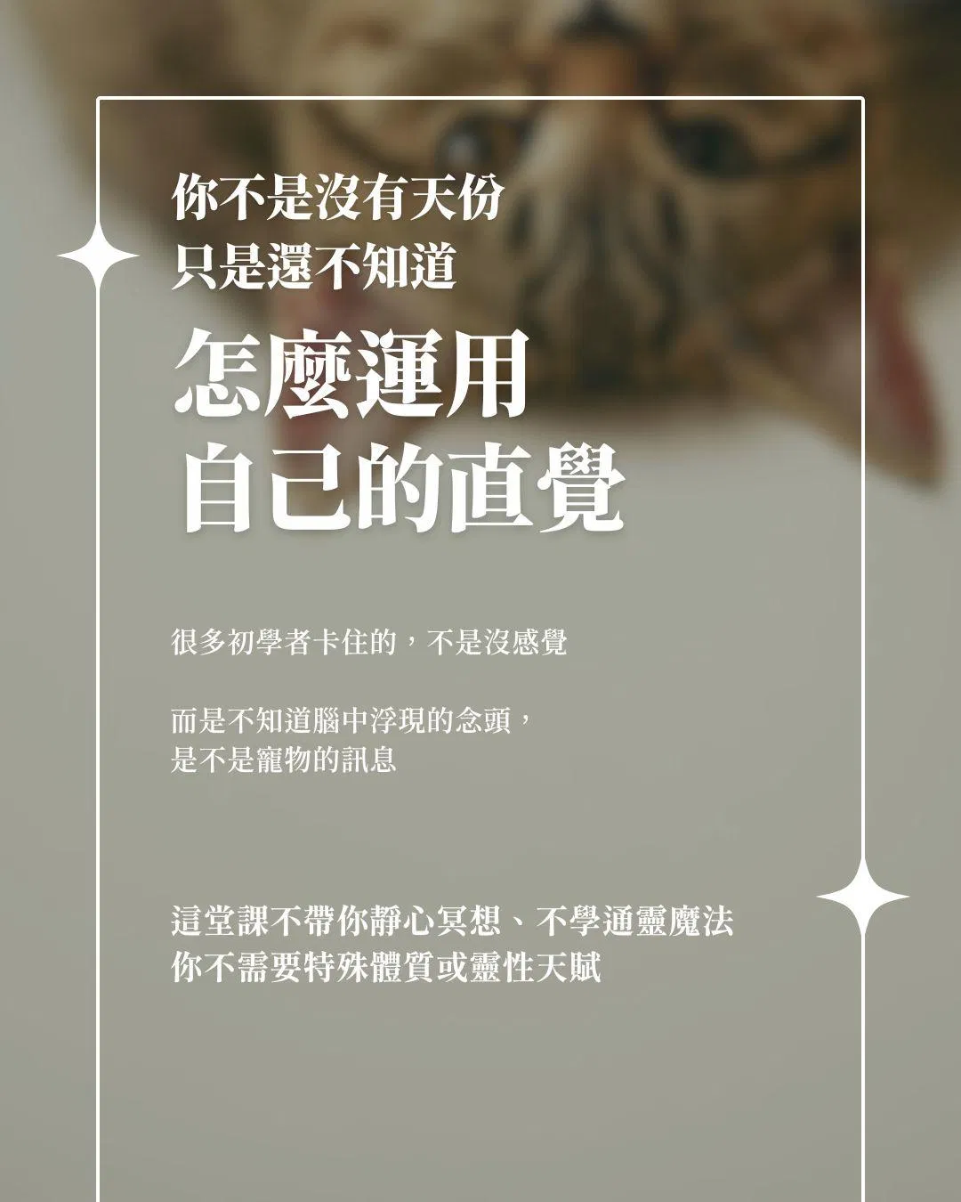 你不是沒天份.jpg