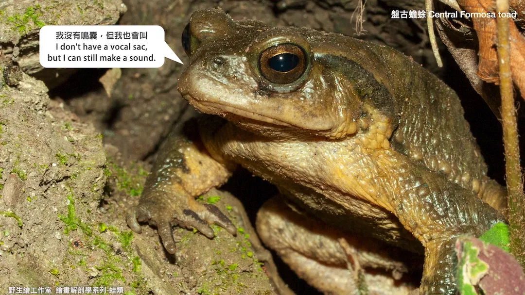 截圖 2026-04-21 晚上8.48.15.png