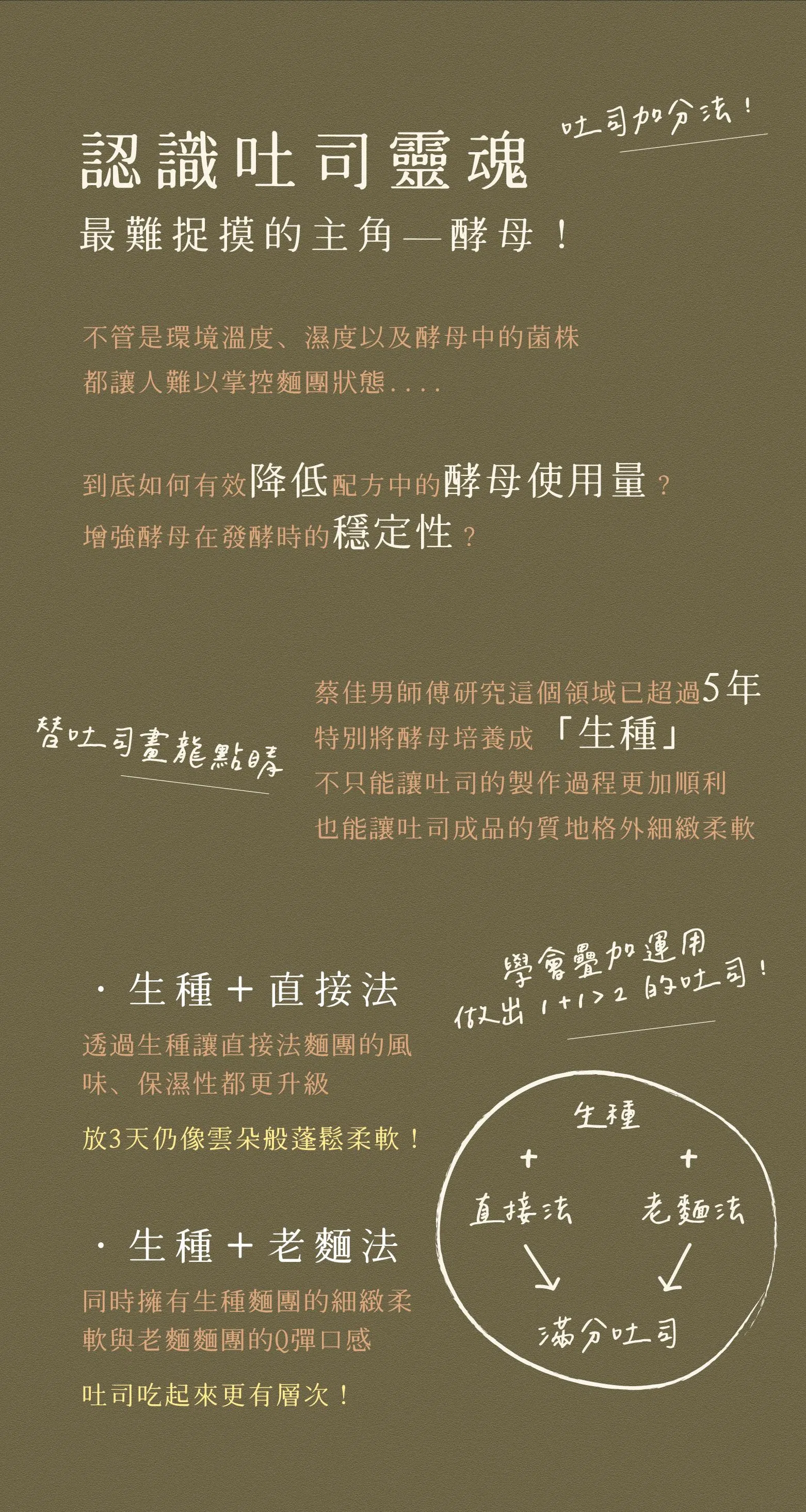 認識吐司酵母